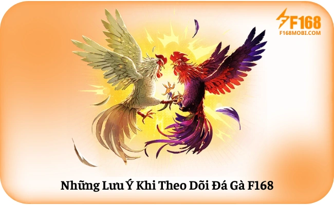 Đá gà F168 Những Lưu Ý Khi Theo Dõi Đá Gà F168